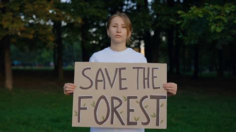 Environmentalist 的图像结果