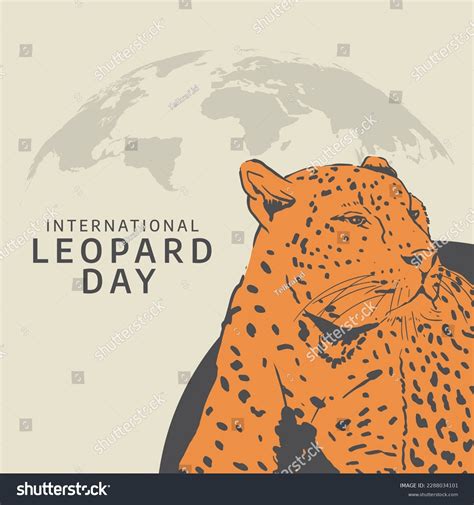 5+ Thousand Cute Snow Leopards Royalty-Free Images, Stock Photos ...