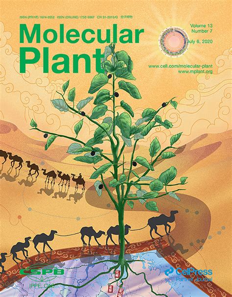 Science杂志封面 的图像结果