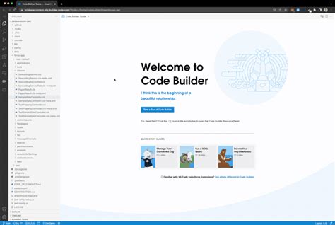 Image result for Salesforce Developer Console
