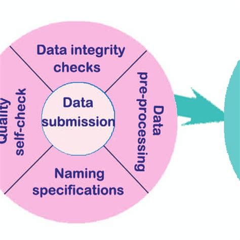 Data Quality Collection 的图像结果