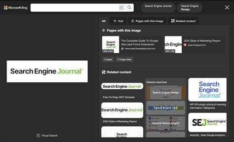 Search Using Image Bing 的图像结果