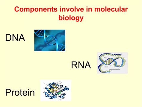Basics of molecular biology tools and techniques | PPT