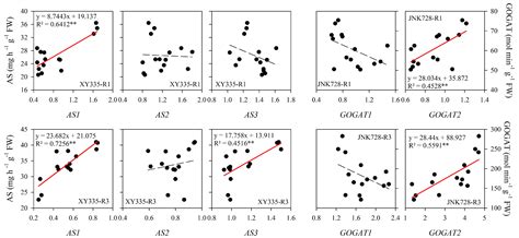 Improving Leaf GOGAT Activity After the Post-Silking Period Contributes ...