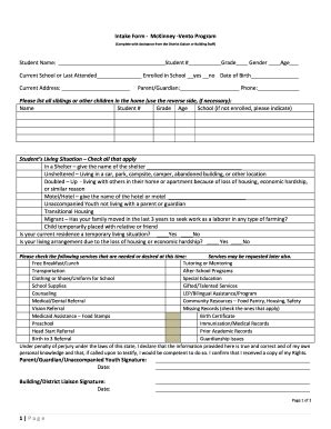 McKinney-Vento Program Intake Form - Blank Fillable Template | Fill Out ...
