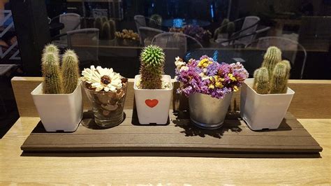 THE POSH PHAYA THAI (Bangkok) - Hostel Reviews, Photos, Rate Comparison ...