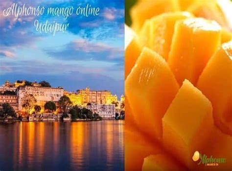Buy Alphonso Mango Online Udaipur – Fresh Hapus – AlphonsoMango.in