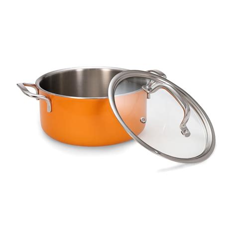 Buy ARTTDINOX Vida Stainless Steel Triply Pot with Glass Lid for ...