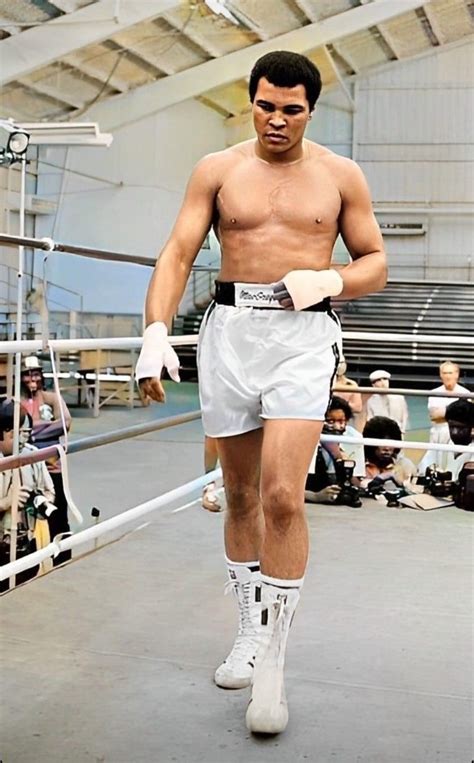 Muhammad Ali Boxing 的图像结果