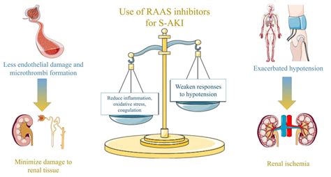 Role of the Renin Angiotensin Aldosterone System in the Pathogenesis of Sepsis-Induced Acute ...
