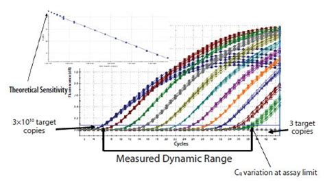 PCR Assay Optimization and Validation