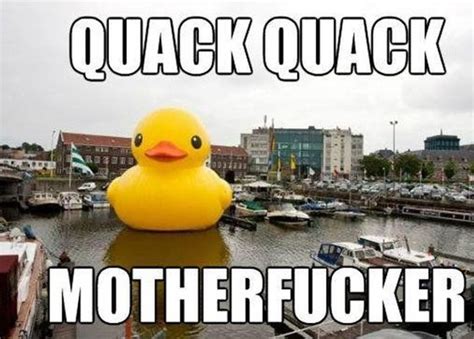 Break.com 的图像结果