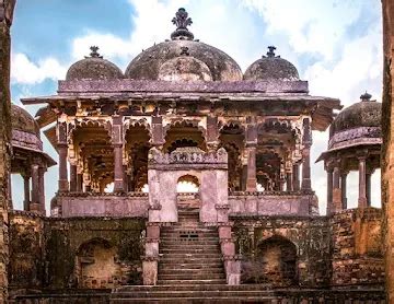 Unleash the Wild: Experience Thrilling Wildlife Encounters in ...