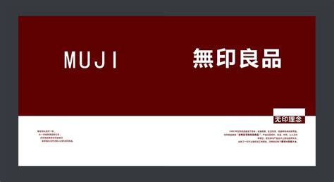 逗号设计-中国著名标志logo商标品牌vi画册平面包装网站策划深圳设计公司
