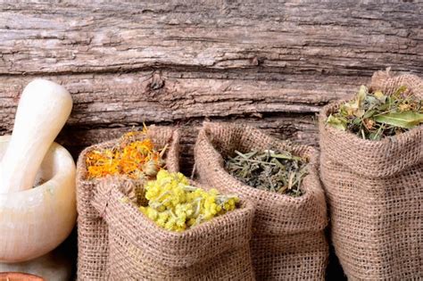 Herb Medicine 的图像结果