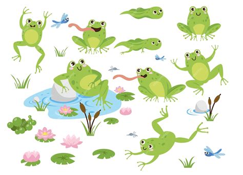 Frog Cartoon Characters