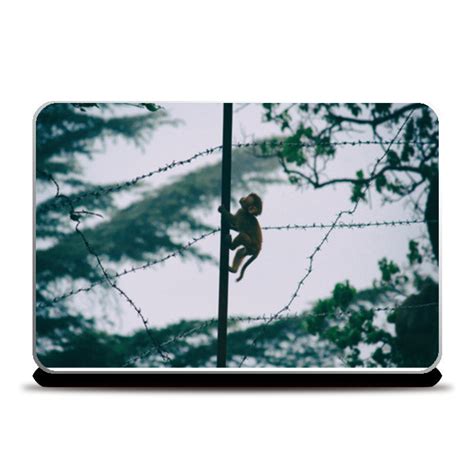 Rising High..!! Laptop Skins – PosterGully