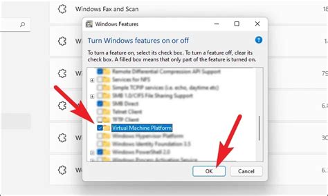 Virtual Machine Platform 的图像结果