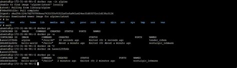 Docker Containers 101: A Beginner’s Guide