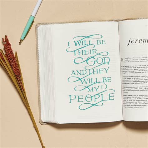 She Reads Truth Bible