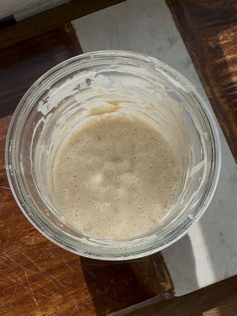 Easy Sourdough Starter Recipe - Peanut Butter and Jilly