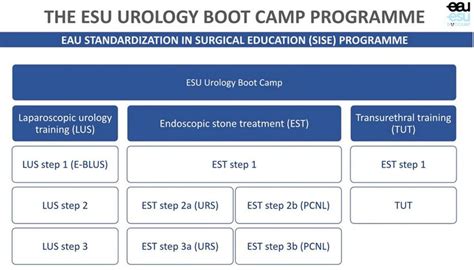 ESU Bootcamp Austria am ASU 2022 - Urologie & Andrologie - Universimed ...