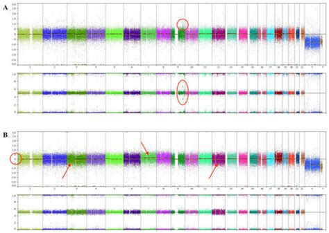 Diagnostics | Special Issue : Current Diagnostic Concepts of Eye Pathology