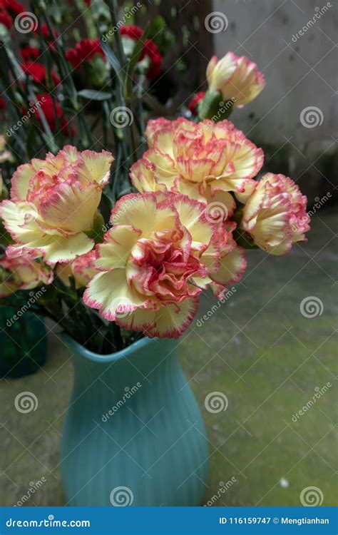 Yellow Carnation-Flower Arrangement-Fresh Cut Flowers Stock Image ...