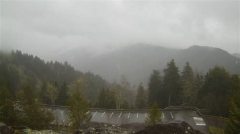 Newfound Gap Tn Weather