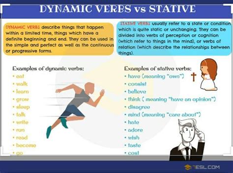 C Underline the stative verbs and circle the dynamic verbs in the ...