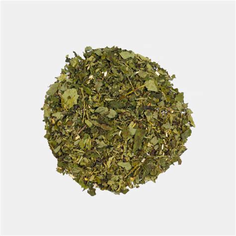 cannamigo - VIVA VERDE Tee - Grüne Teemischung - Hanf Extrakte