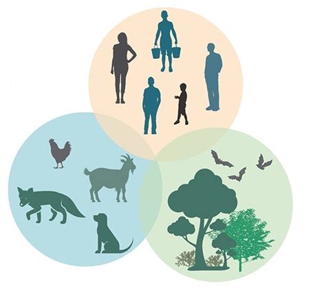 Image result for One Health CDC