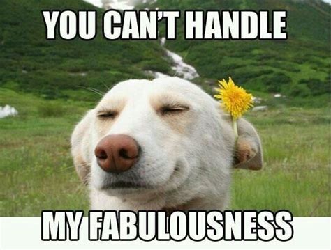 Image result for Backyardigans Flower Power Meme