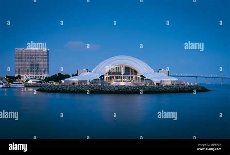 Image result for In the Shell