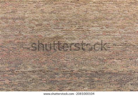 Brick Wall Cladding 的图像结果