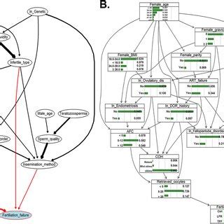 Bayesian Network 的图像结果