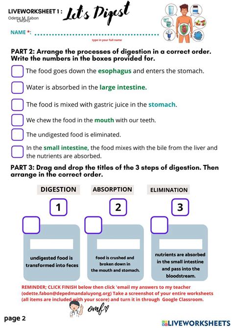 Image result for Digesting Exercise