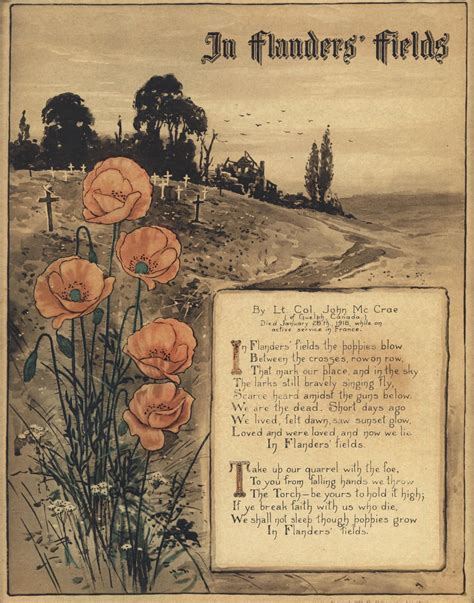 In Flanders Fields : r/Poem