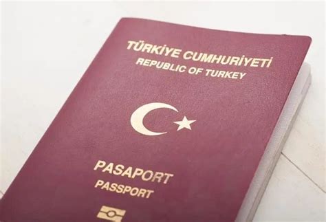 喜讯不断！世贸通又一批移民客户喜获土耳其护照-世贸通移民
