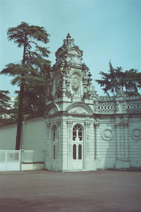 400+ Scuba.steph+leaks Bilder und Fotos · Kostenlos Downloaden · Pexels Stock-Fotos