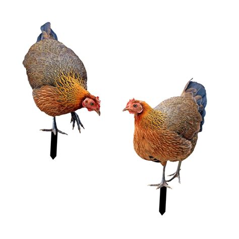 SAZ DEKOR Animal Statue Stakes Realistic Chicken Sculpture for Patio ...