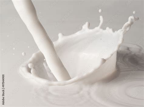 Milk Processing Steps 的图像结果