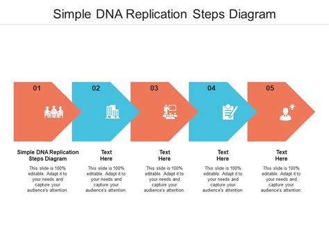 DNA Replication Steps 的图像结果