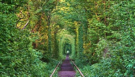 Tunnel Of Love In Ukraine That You Must Visit Because Of Its Rich History