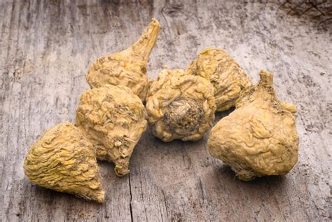 Image result for Fertility Maca Root