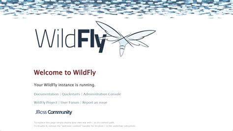 Image result for WildFly Vs. Spring Boot