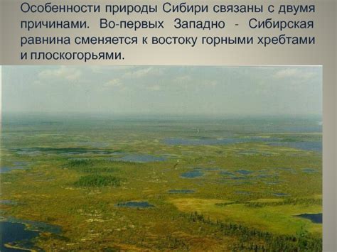 Природные условия Сибири. Тайга 3 класс презентация, доклад