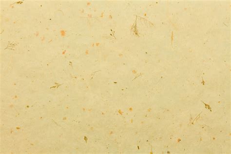 Nature Paper 的图像结果