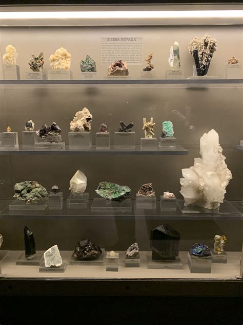 Display Case for Rock and Crystal Collections