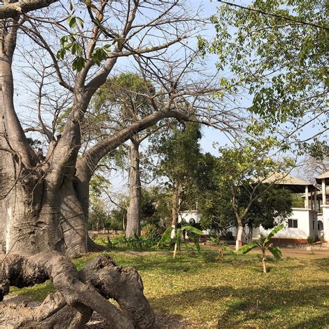 SITA JOYEH - BAOBAB ISLAND (Kuloro) - Inn Reviews & Photos - Tripadvisor